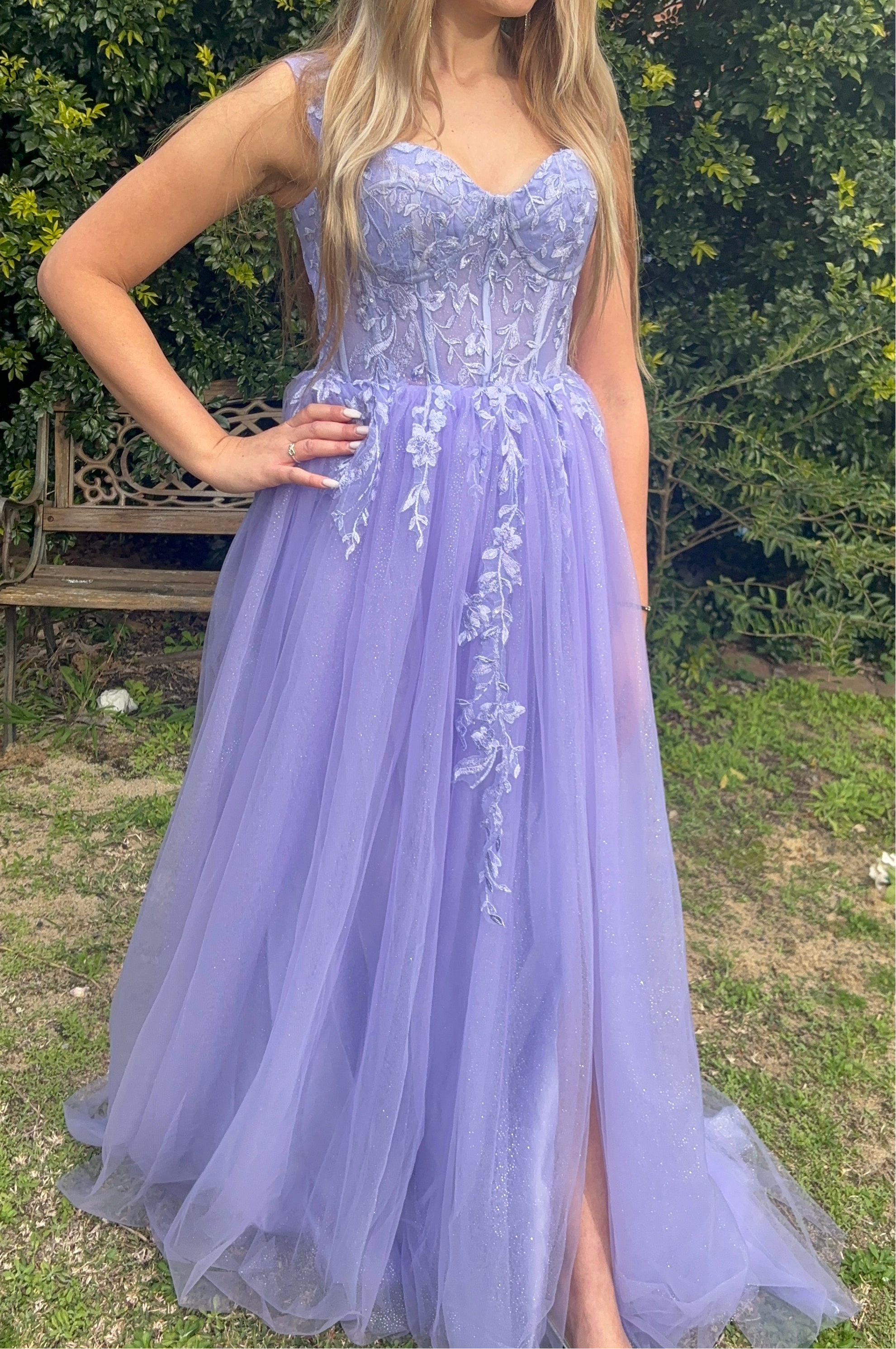 Rapunzal Tulle Lace Gown