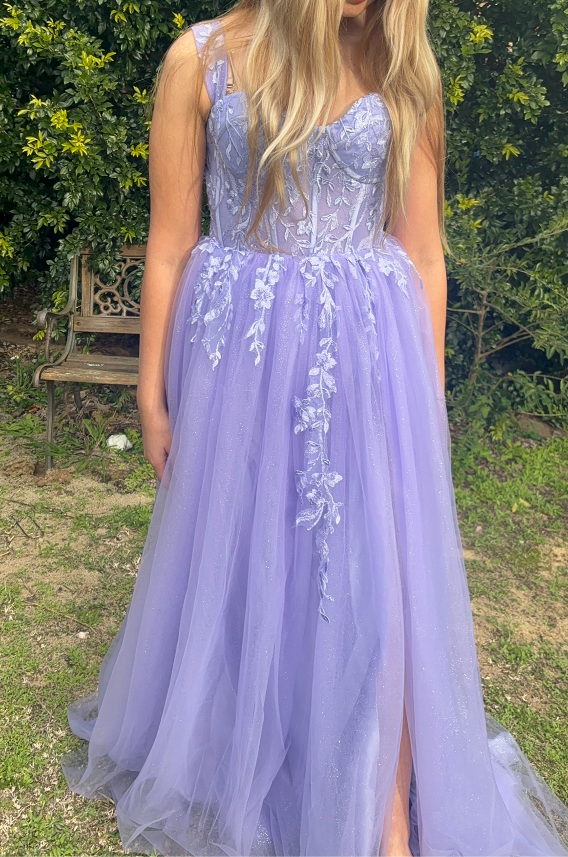 Rapunzal Tulle Lace Gown