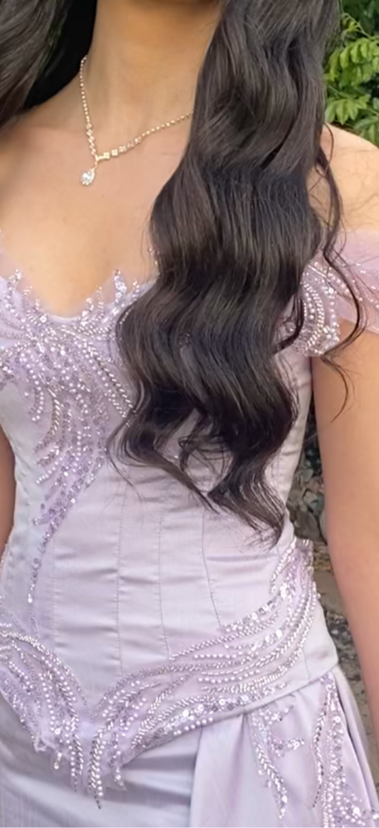 Swan Lake Couture Hire Dress