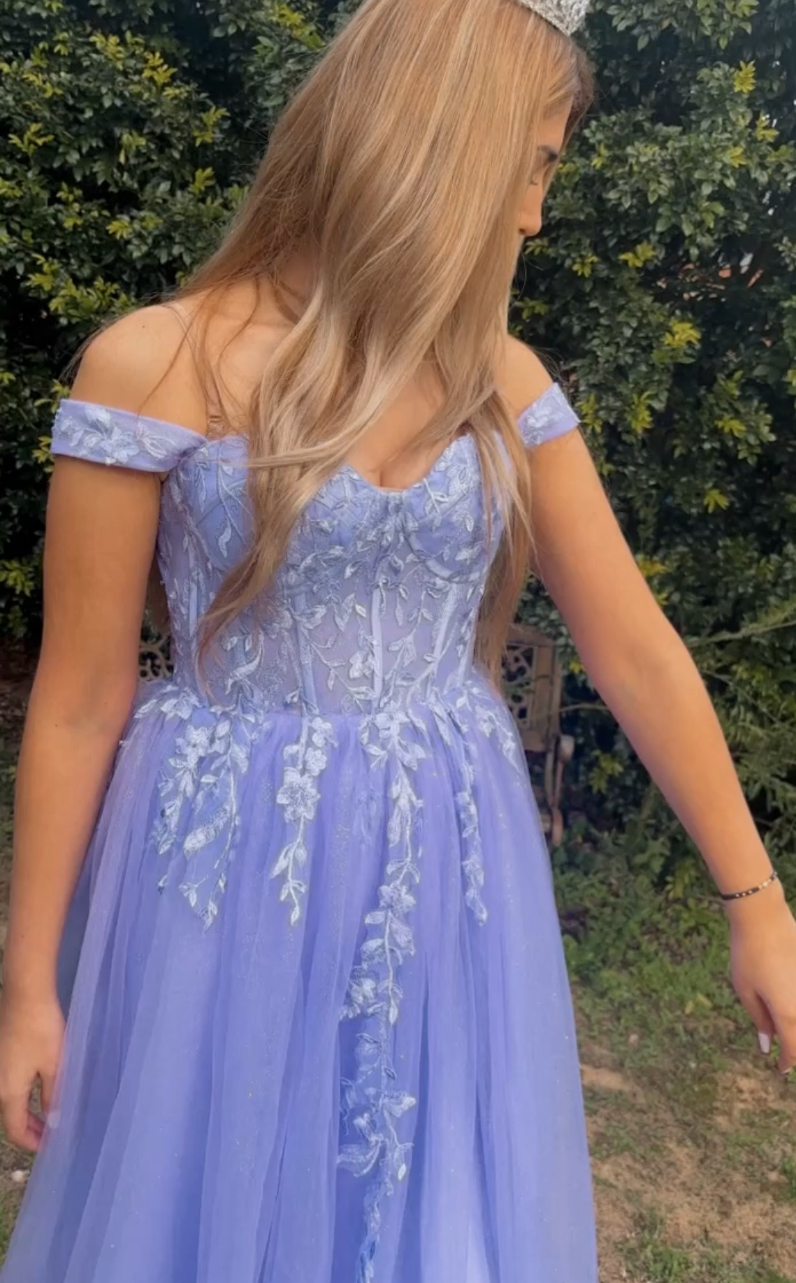 Rapunzal Tulle Lace Gown